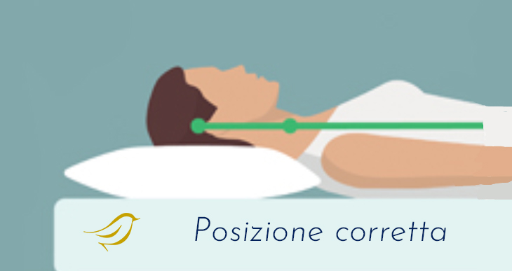 il perfetto allineamento del collo con un cuscino adatto quando si dorme a pancia in su