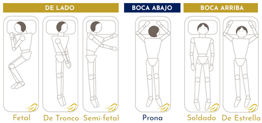 3 categorías de las 6 posiciones para dormir: de lado, boca abajo, boca arriba