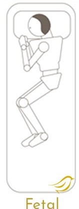 el impacto sobre tu salud de la posicion fetal