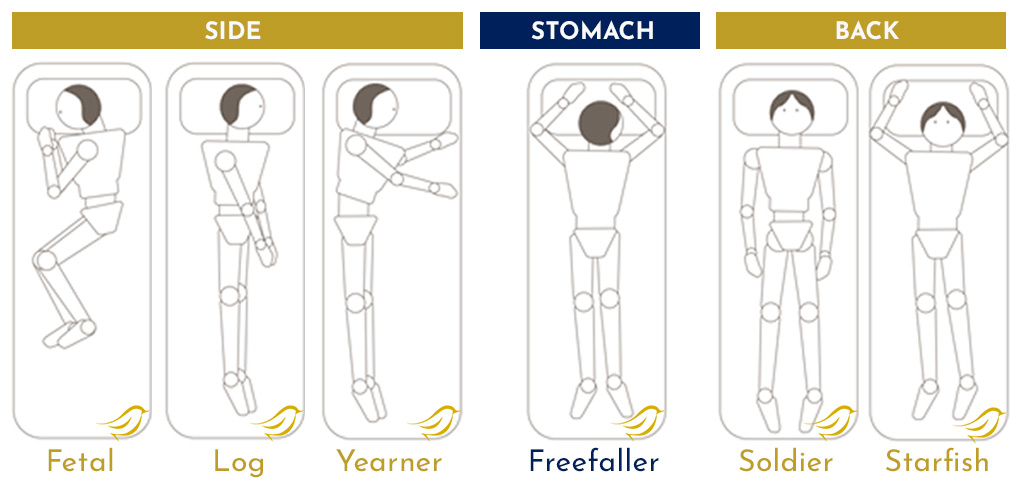 The 6 Sleeping Positions categorized in 3 main classes