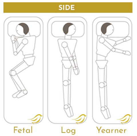 Fetal, Log and Yearner positions