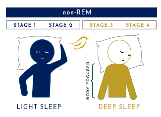 the 4 stages of non-REM sleep 