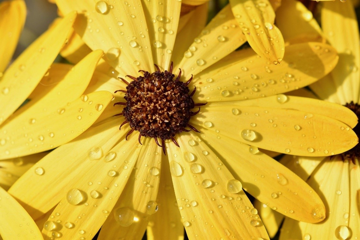 l'impatto dei colori sul riposo: il giallo è un colore rilassante